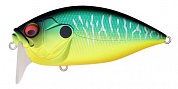 O.R.C. Burning Shad