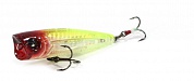 3DB Popper