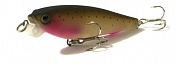 3D Minnow