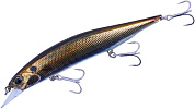 Воблер DUO Realis Jerkbait 120SP #ASA0806 Horse Mackerel ND