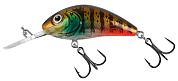 Воблер Salmo Rattlin' Hornet 6.5F #CBG Hot Gill Clear