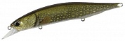 Воблер DUO Realis Jerkbait 120SP (Pike limited) #ACC3820 Pike ND